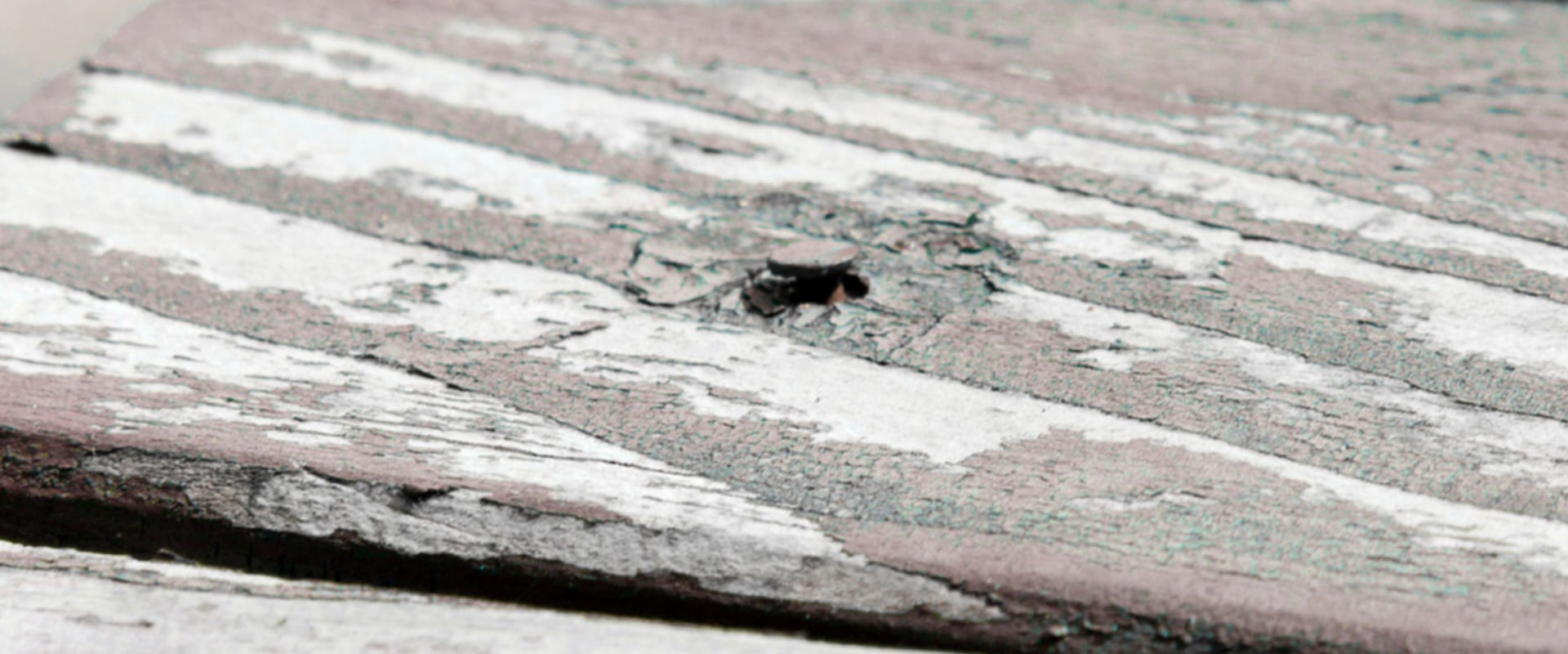 Deck repair vs replace?